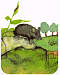 68. thumbnail